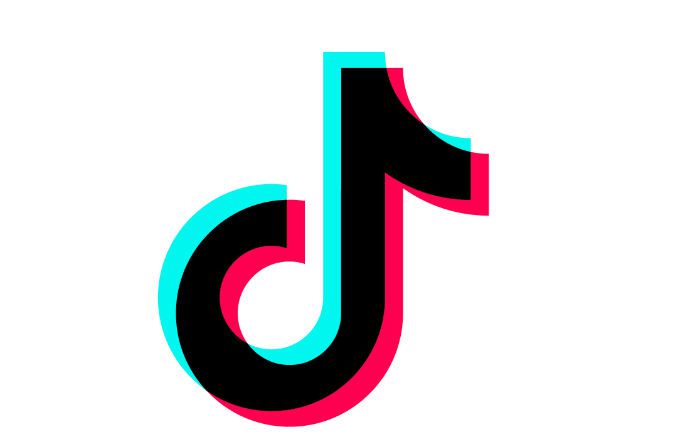 TikTok follower